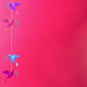 Meet your Posher, Chellsea